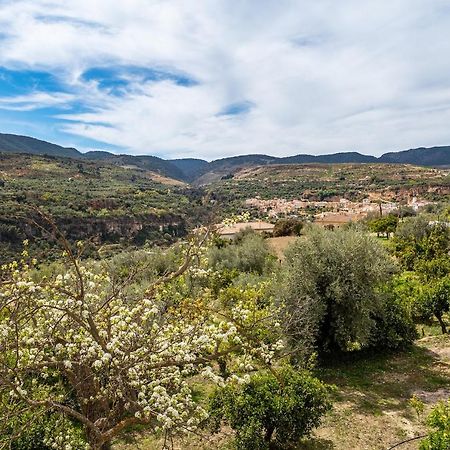 Albuñuelas Casilla De Adelaヴィラ エクステリア 写真